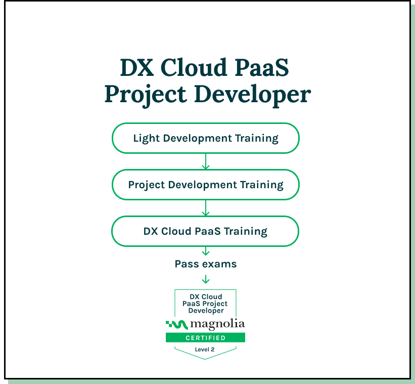 DX Cloud Paas Project Developer